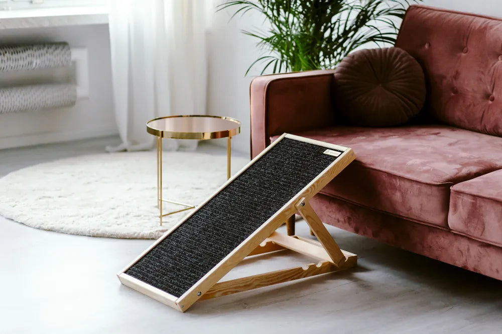 Hunderampe aus Naturholz mit antirutsch Teppich, höhenverstellbar, perfekt als Rampe für die Couch