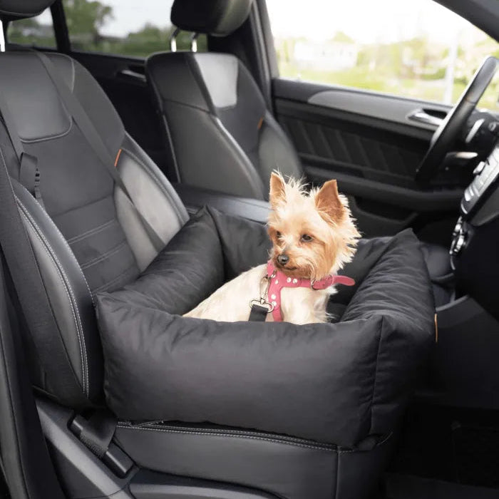 Hundebett fürs Auto
