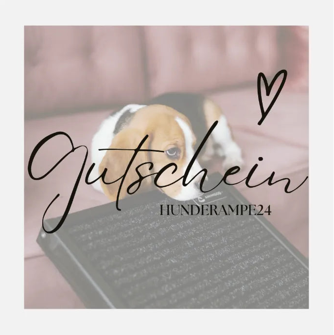 Gutschein für Hundezubehör mit einem Bild von einem Hund mit dem Kopf auf einer schwarzen Hunderampe aus Holz.
