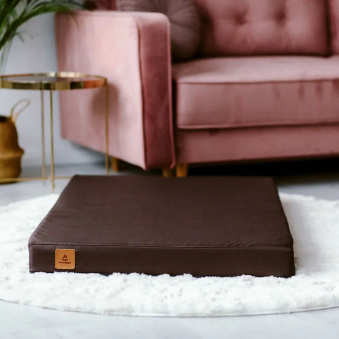 orthopädisches Hundebett testsieger