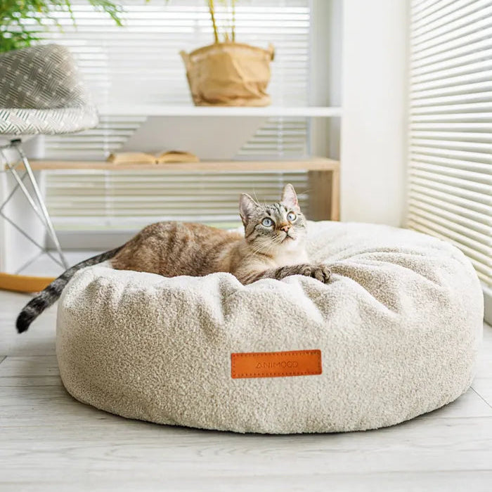 Katze liegt auf einem Kissen mit Teddystoff