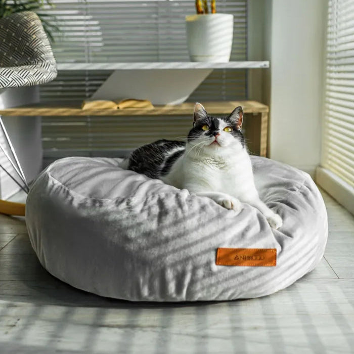 Katze liegt auf einem runden Kissen - Katzenkissen bzw. Katzenbett