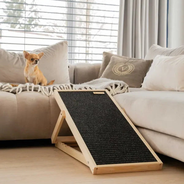 Chihuahua sitzt auf der Couch und vor ihm ist eine Hunderampe aus Holz mit anti rutsch Teppich