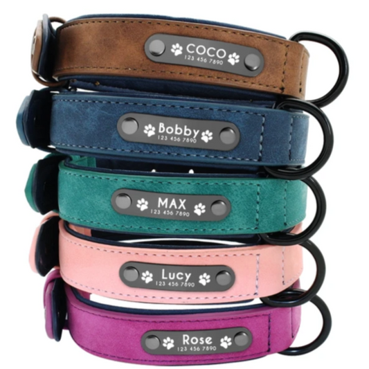 personalisiertes HUndehalsband mit Gravur Telefonnummer und Name