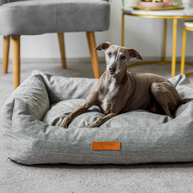 Hund liegt auf einem grauen Hundebett mit erhöhtem Rand