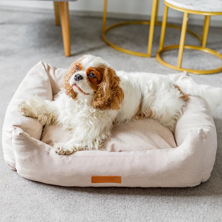 Hund liegt auf beige Hundebett ergonomisch 