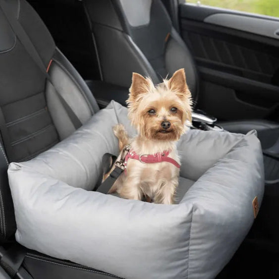 graues Hundeautokissen