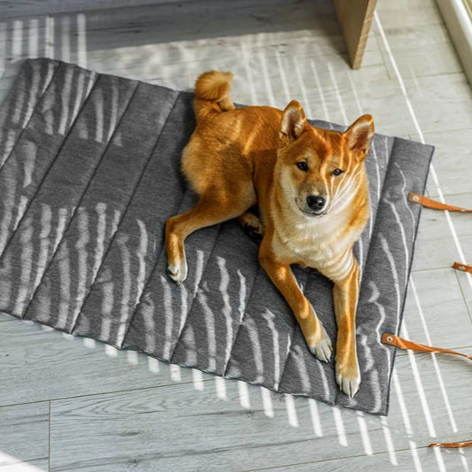 Hund auf Hundematte