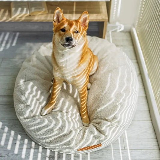 Hund sitzt auf Hundebett Teddy rund