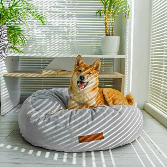 Hund liegt auf grauen Hundebett rund samt kuschlig
