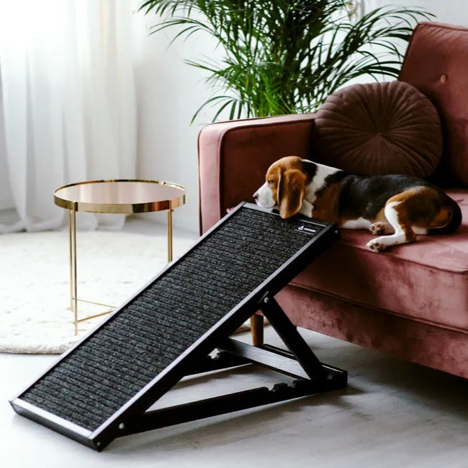 Hund liegt auf dem Sofa vor einer Rampe höhenverstellbar mit anti-rutsch Teppich