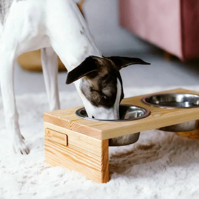 Hund frisst aus erhöhten Holz Hundenapf