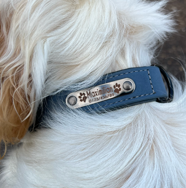 personalisiertes Hundehalsband
