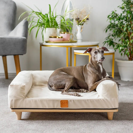 Hund liegt auf einem beige Hundesofa erhöht